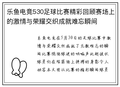 乐鱼电竞530足球比赛精彩回顾赛场上的激情与荣耀交织成就难忘瞬间